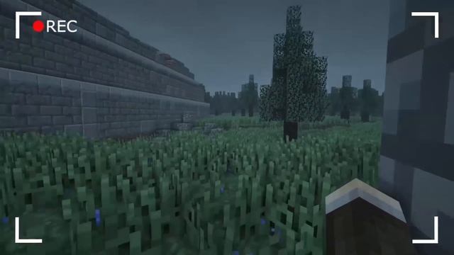 МАЙНКРАФТ КЛИП ЛИНЧ 