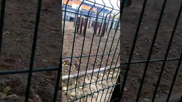 Покупка чехла финал