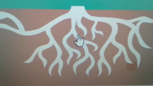 МНЕ КАЖЕТСЯ Я Marmok (ОН БАГАЮЗЕР Я ТОЖЕ И Я ПХУЕНО ИГРАЮ В КС И ОН) ДА Я ЗНАЮ ВЫ НЕ ВИДЕЛИ РОЛ. КС