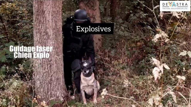 K9 VISION SYSTEM - A Canine Camera System