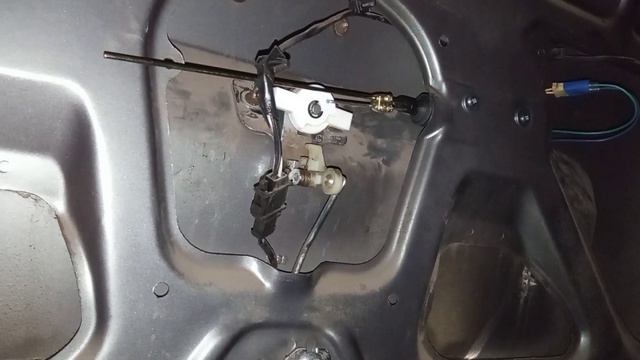 Цветы романтики и счастья