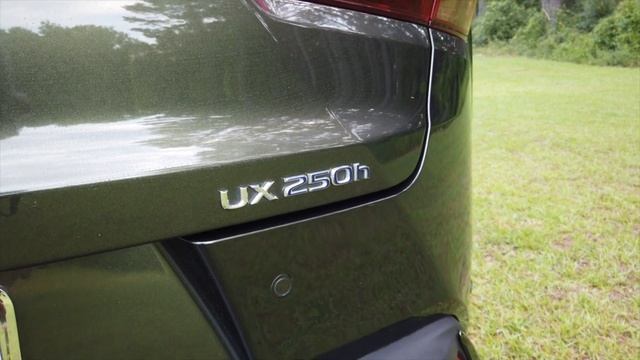 2019 Lexus UX 250h F Sport Quick Look
