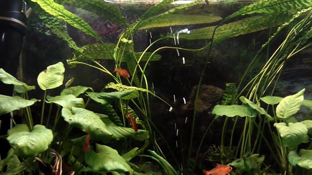 0507876d58ef94d0147846715bd71e88