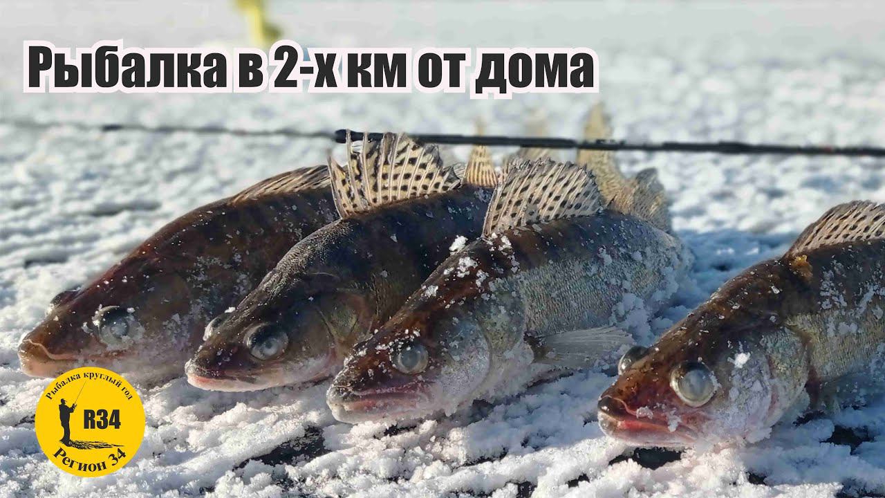 Рыбалка на вибы в двух км от города. За одно и проверил старые места.