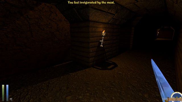 Daggerfall Unity: What's The Worst That Could Happen?