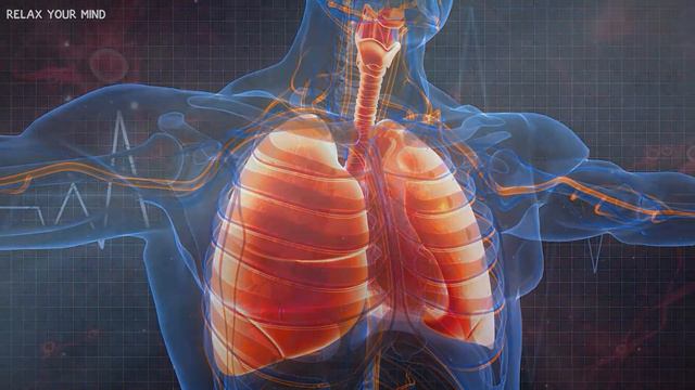 Mejorando La Salud Y Cuerpo, NO PUEDEN Explicar Por Qué Este Audio Elimina El Estrés Y Toxinas