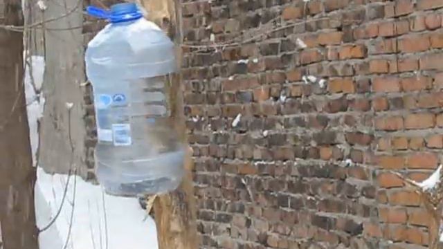 Кто ел из моей чашки?