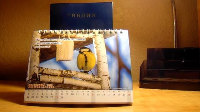 Eeb2f910529c8eae107a9a5301f56643