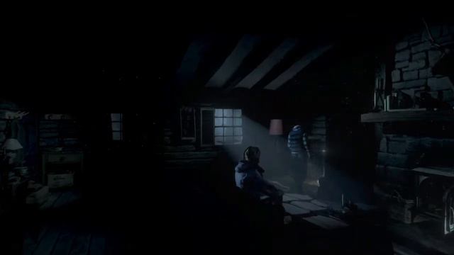 Heimgesucht Until Dawn #03