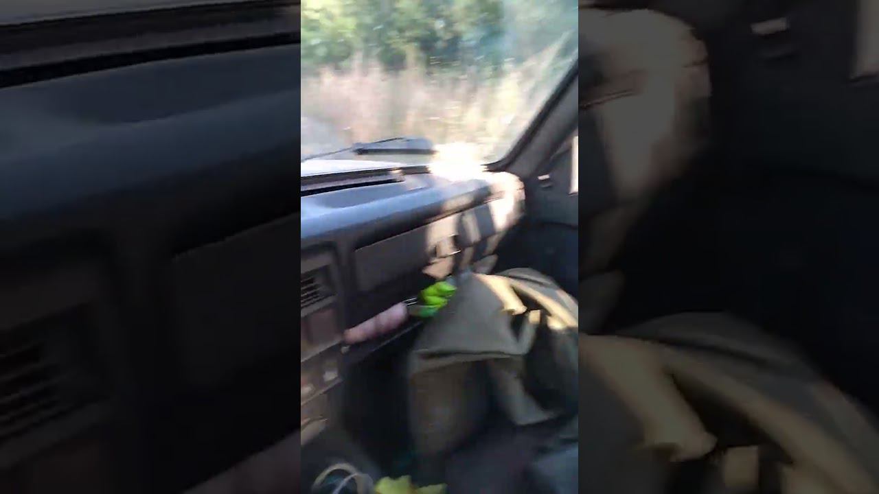 Едем на первую проверку  рабочих качеств молодняка подсадных уток.