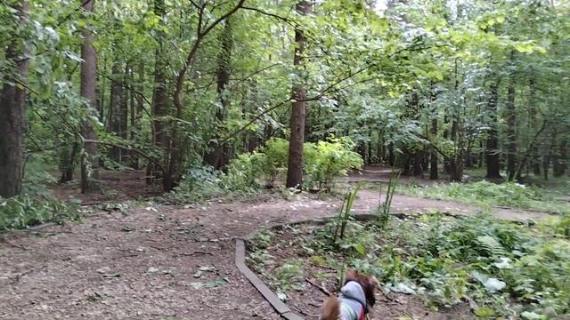 28756a3c6bbba607edd0591d0c2084ba