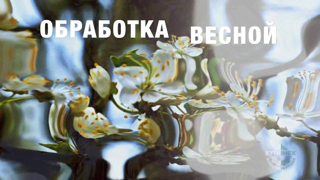 Садовая побелка :: Купянскспецпереработка