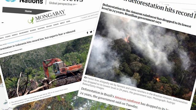 Deforestation
