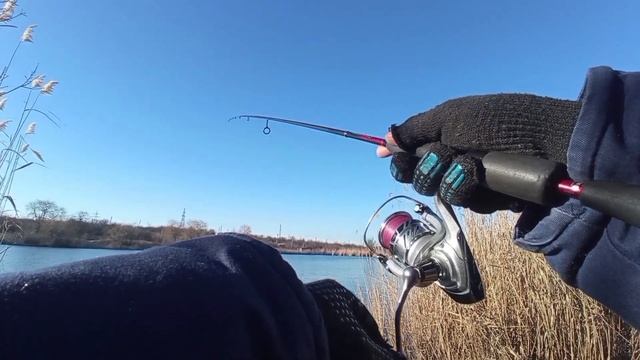 Ловить карася на спиннинг зимой очень просто