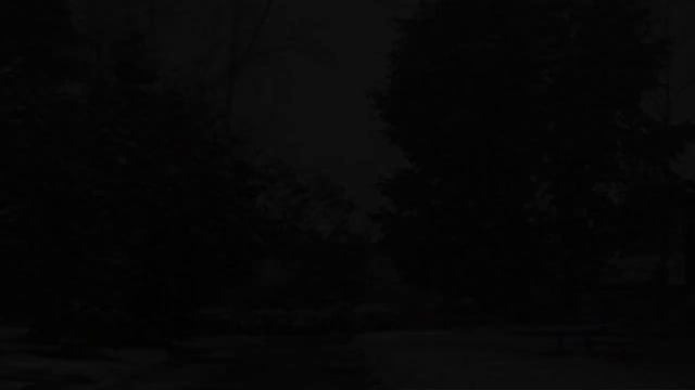 Первый снег