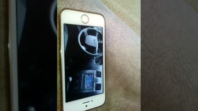 Радость жизни