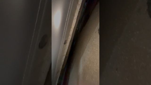 Автореволюция