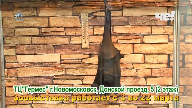 Зоовыставка «Живые тропики»