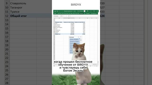 Birdyx. Excel и Google таблицы для бизнеса