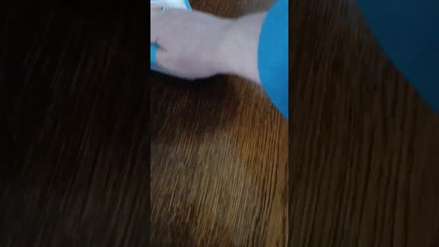 21 февраля 2024 г.