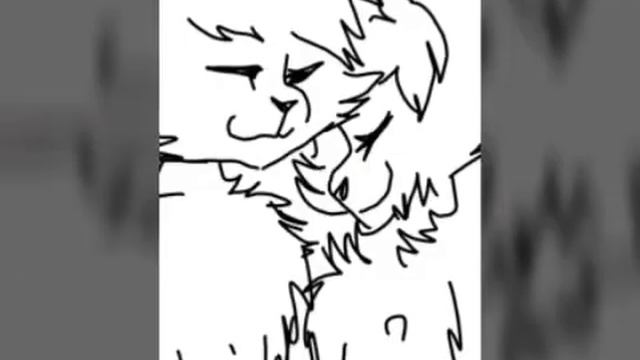 Я ищу пару (котю)