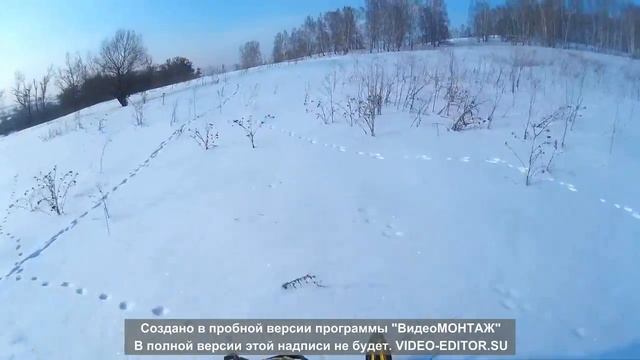 Квадроснегоходопати Борисово 2