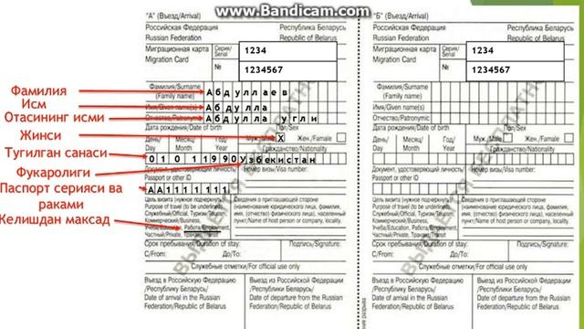 Каратэ в тени школьных коридоров