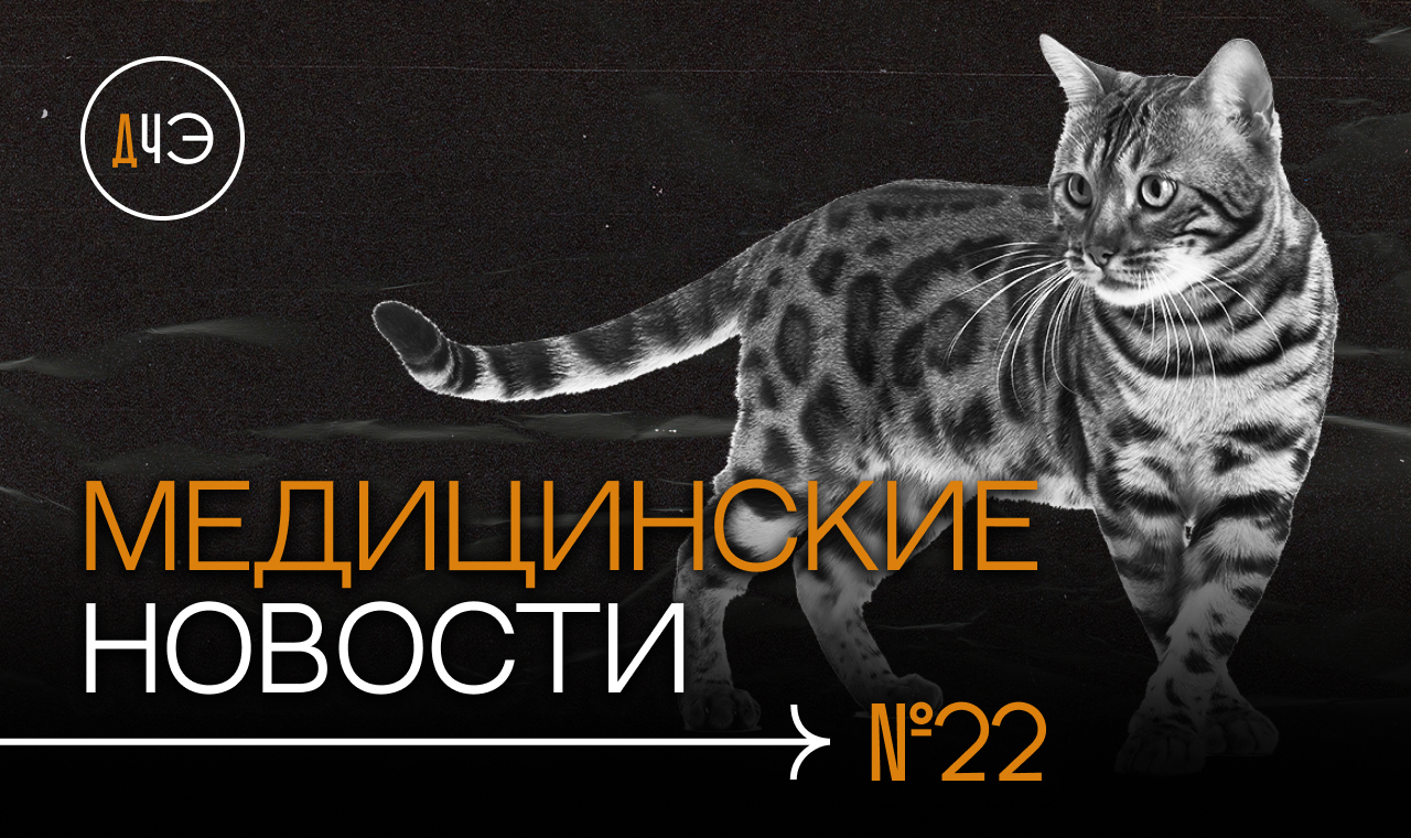 Древние вирусы уже близко! Как нас защищает грязь? Кошки хранят информацию  владельце? | Новости #22