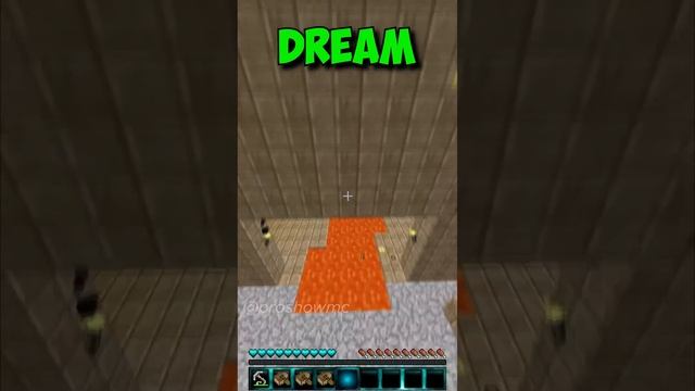 NOOB Vs DREAM Vs MR BEAST (CAT Vs DOG): Minecraft Parkour (World's Smallest Violin) #shorts