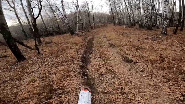 Кайо и хонда, китай и япония. Лайт покатушка 07.11.2021 часть 2