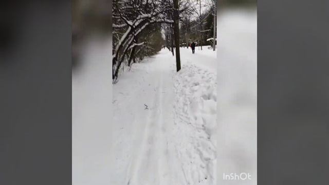 Катаемся на лыжах в Сокольниках