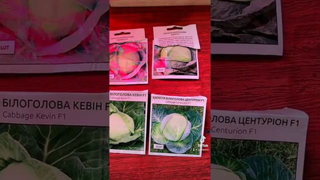 929a68d4290a55421d086aadf2579976