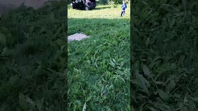 864745cacc122a1a2b65125590a95755