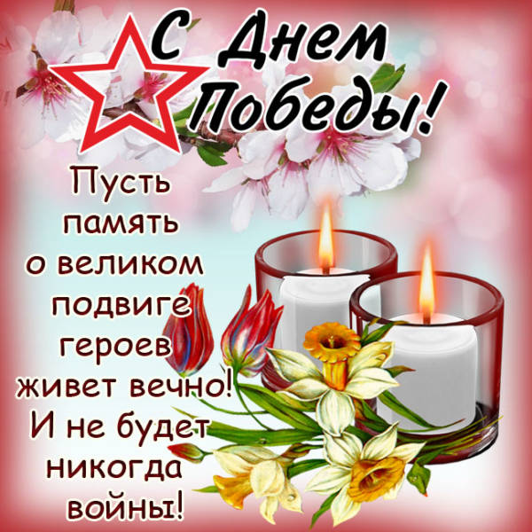 Домохозяйка