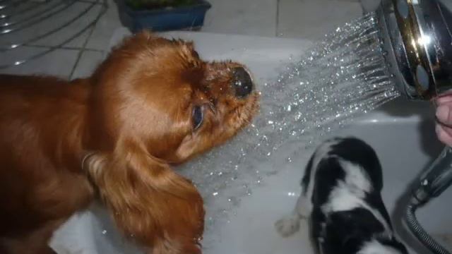 3821b6c2229fb4e77671170d0f35d4c5