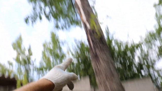 Моя трансформация в Берсерка