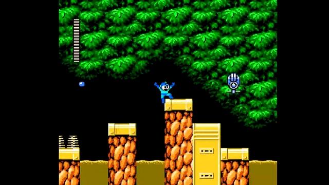 Megaman 6 NES Walkthrough Part 3 - Plant Man Stage