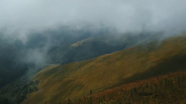 Погружение в горы. Боржава, наш поход по черничной долине 🖤