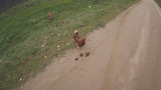 Фанатки Моргенштерна и Влада А4