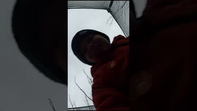 Батут и телефон