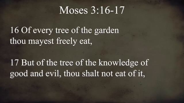 2 Nephi 1-5 | Book Of Mormon Insights With Taylor And Tyler: Revisited