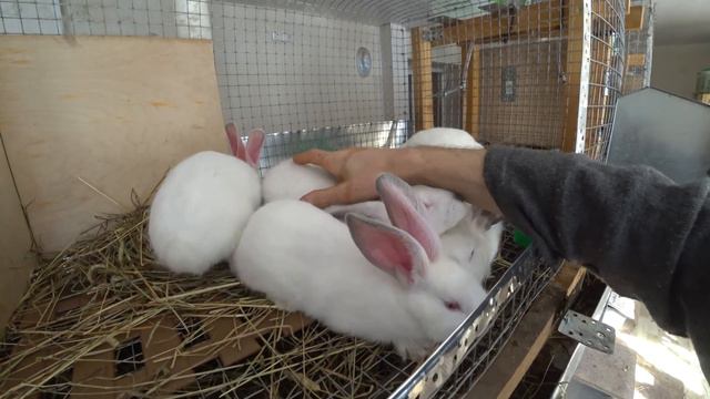 5e7fd550dd9023c1d03a442f98c2cdda