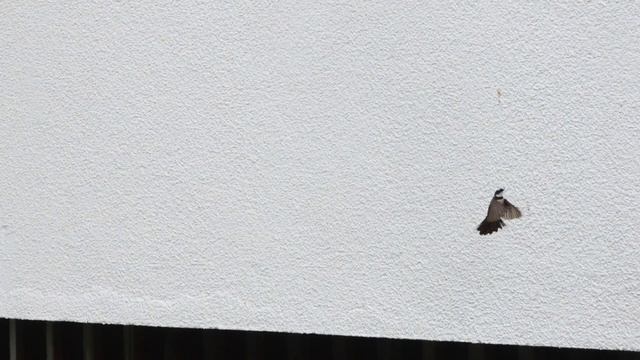 Canon G7X Mark III Photo Review (2023) | Watch Before You Buy