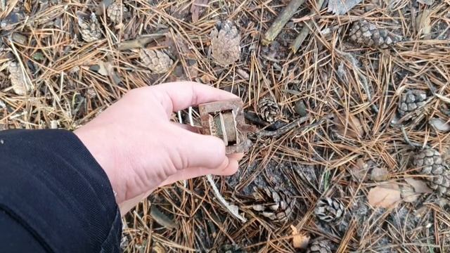 Прогулка в лес за медью! Поиск меди и алюминия под ногами!