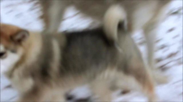 Мы выросли,нам уже 3 месяца.