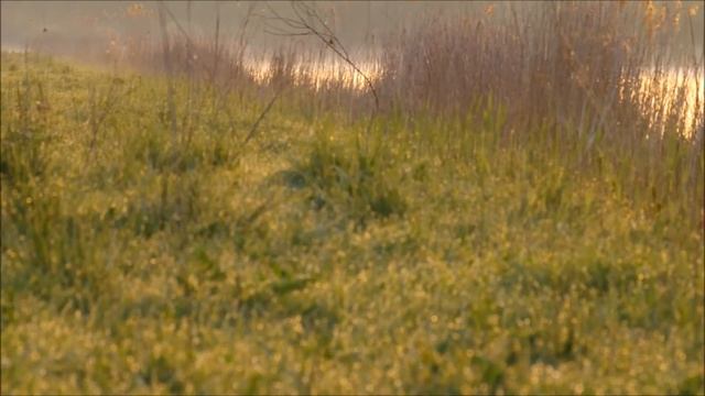 Макро снятое на Pentax K-3