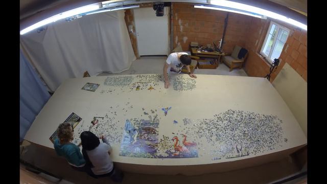 World´s Largest Puzzle - Day 7 - Timelapse Slow
