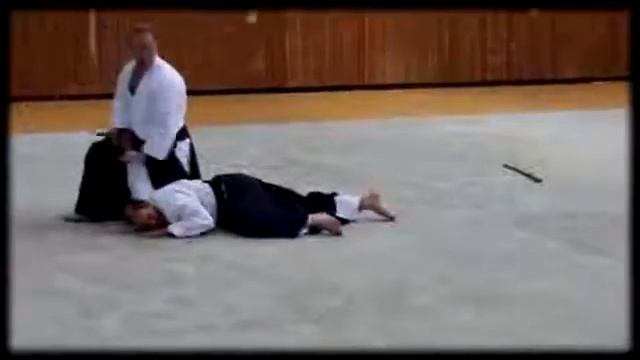 Aikido HDH Pfingstlehrgang 2013 Piotr Kirmiel 5  Dan 02