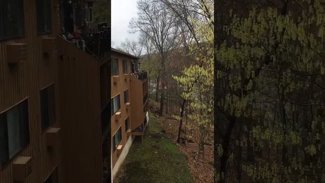 How To Grow On YouTube In 2017 - Carvalho Fitness - Lose Weight, Gain Muscle, Get Beach Ready!