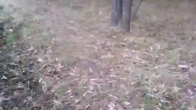 Урал не тонет